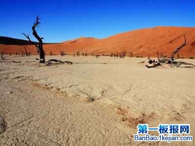 ɺϿȡȣDead Vlei