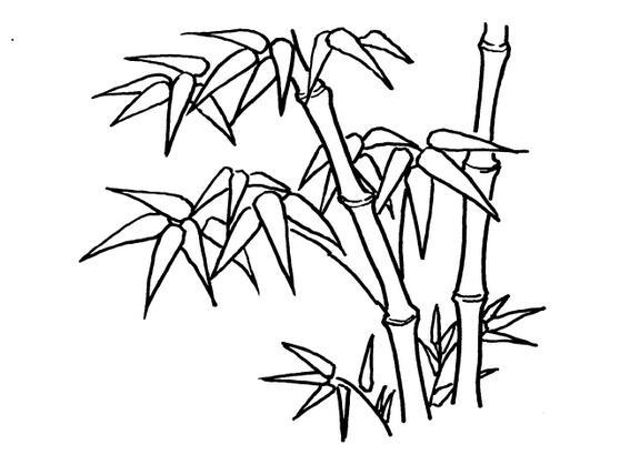 青翠竹子简笔画,竹子幼儿植物简笔画_第一板报网
